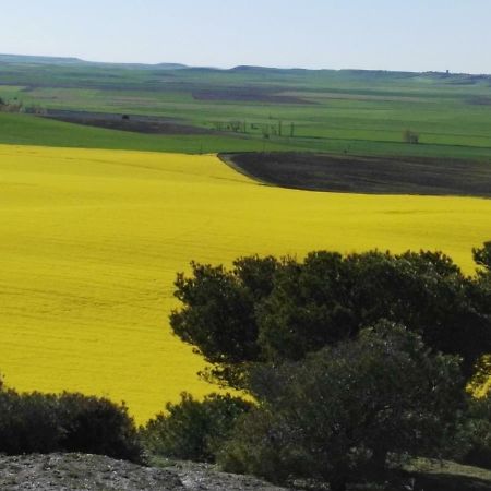 La Aldea Colorada Apartman Mota del Marqués Kültér fotó
