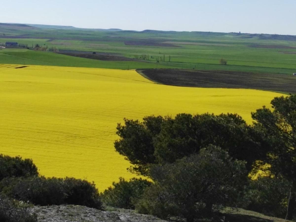 La Aldea Colorada Apartman Mota del Marqués Kültér fotó